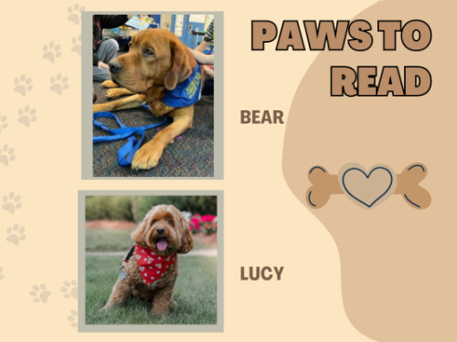 paws to read with bear and lucy and photos of both dogs