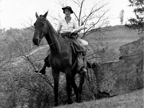 librarian_on_horseback